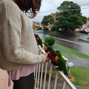 Meet your Posher, Tash